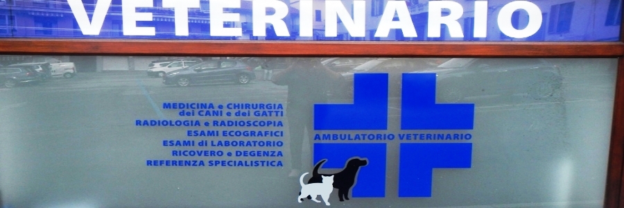 ambulatorio veterinario cani e gatti Berta