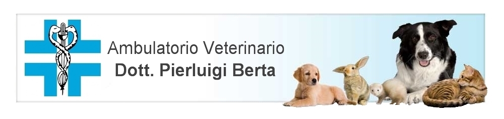 L'Ambulatorio Veterinario Dottor Berta a Cuorgnè cura gatti e cani di ogni tipo